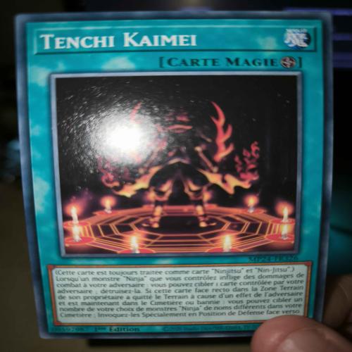 Tenchi Kaimei
